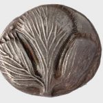 Το σέλινο λειτουργούσε ως λαλούν σύμβολο του Σελινούντος στη Σικελία. Αργυρό δίδραχμον Σελινούντος, 540-515 π.Χ. ΝΜ Συλλογή Εμπεδοκλή